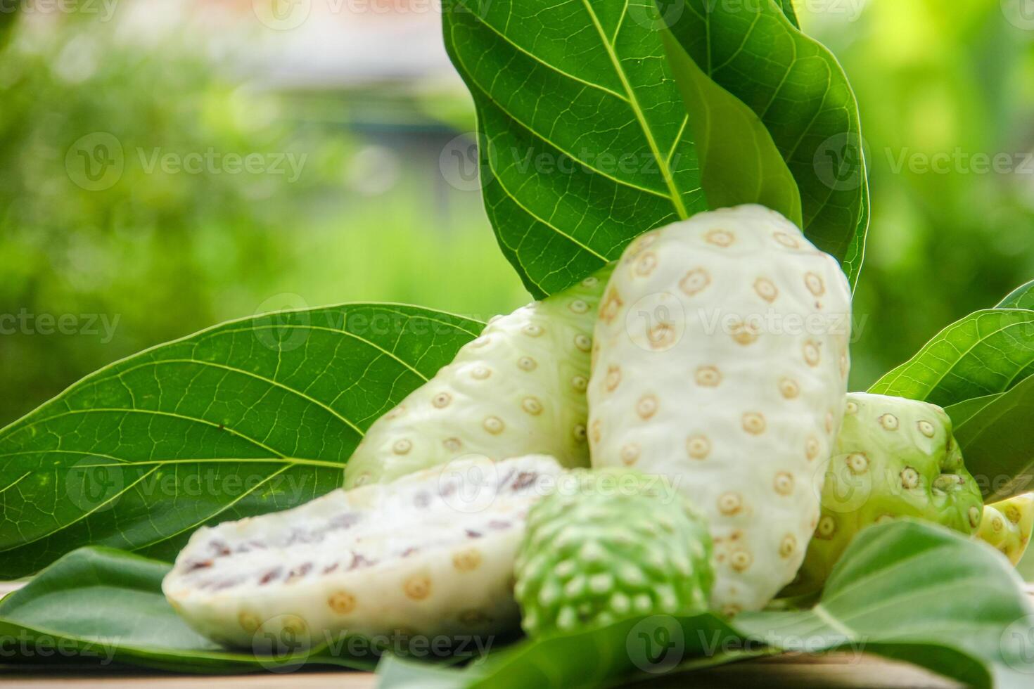 Noni fruit or Morinda citrifolia sliced and decorated with fruit and leaves on a natural background photo