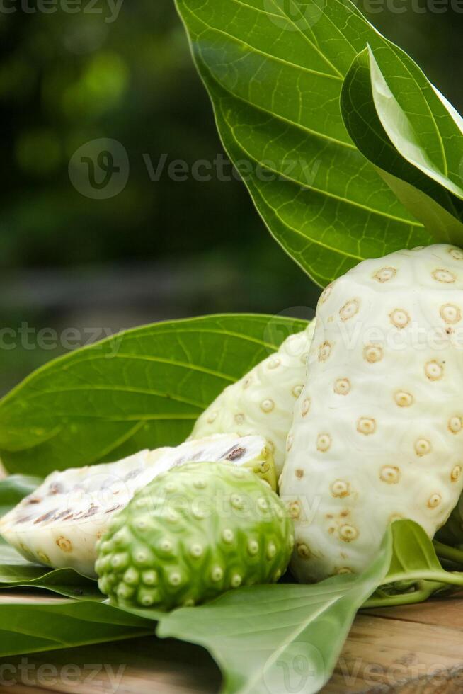 Noni fruit or Morinda citrifolia sliced and decorated with fruit and leaves on a natural background photo