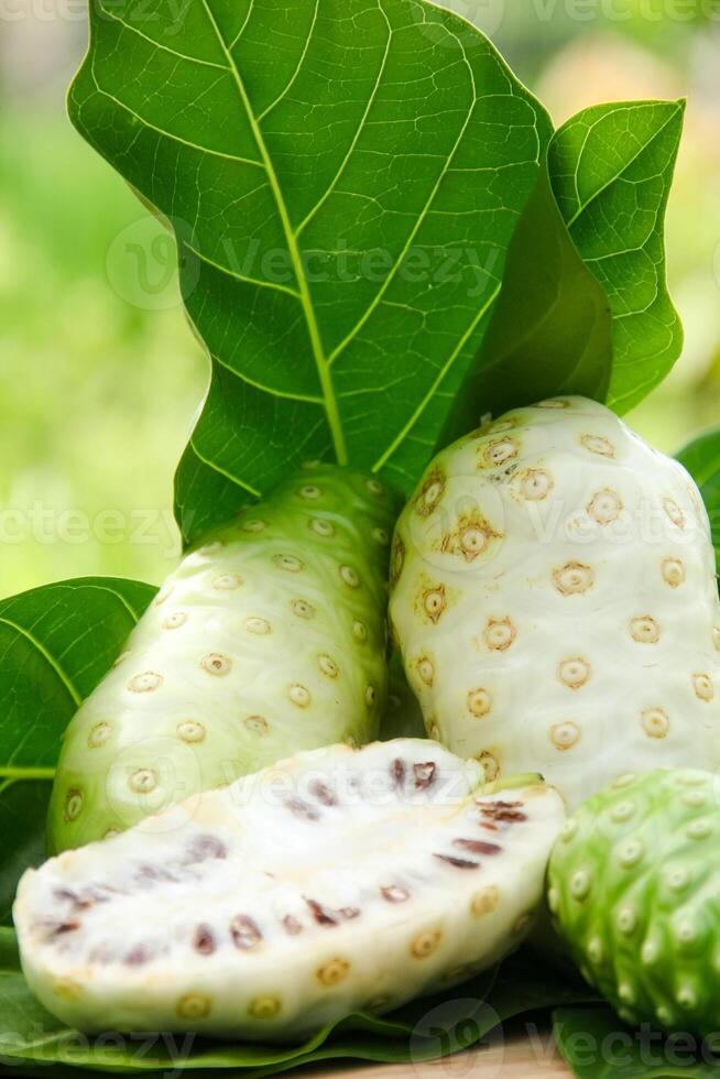 Noni fruit or Morinda citrifolia sliced and decorated with fruit and leaves on a natural background photo