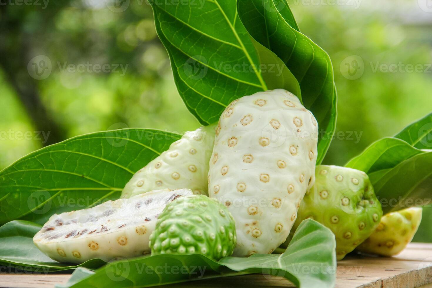 Noni fruit or Morinda citrifolia sliced and decorated with fruit and leaves on a natural background photo