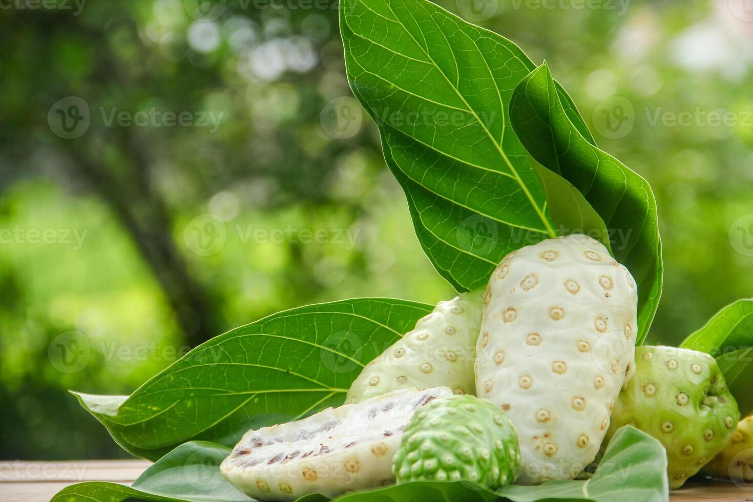 Noni fruit or Morinda citrifolia sliced and decorated with fruit and leaves on a natural background photo