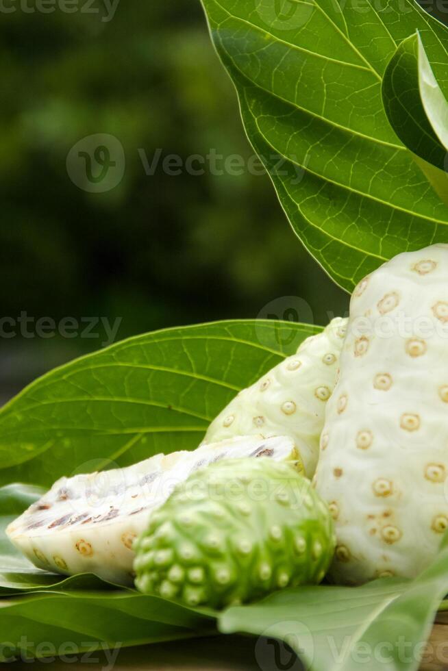 Noni fruit or Morinda citrifolia sliced and decorated with fruit and leaves on a natural background photo