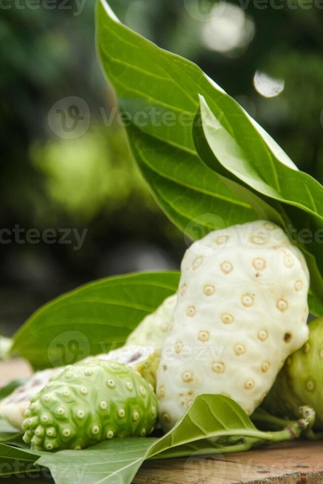Noni fruit or Morinda citrifolia sliced and decorated with fruit and leaves on a natural background photo