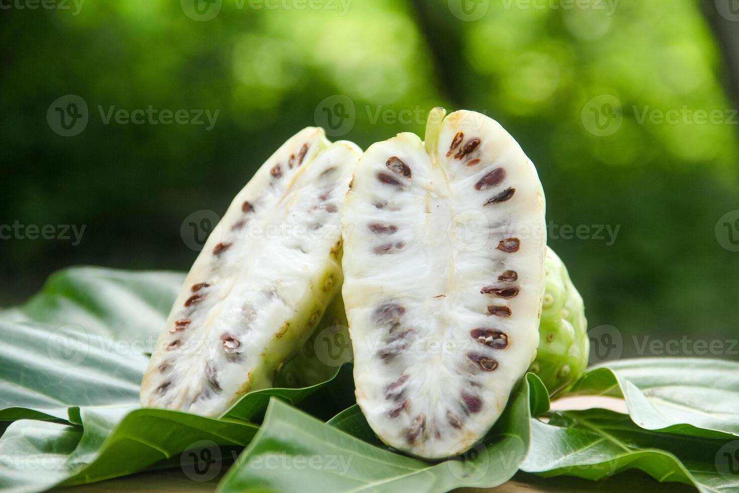Noni fruit or Morinda citrifolia sliced and decorated with fruit and leaves on a natural background photo