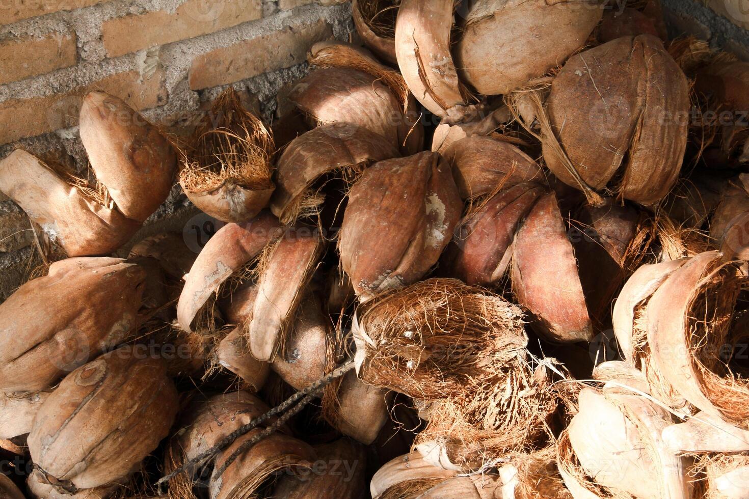 Dried coconut fiber which can be used as raw material for crafts or coco peat for soil fertility photo