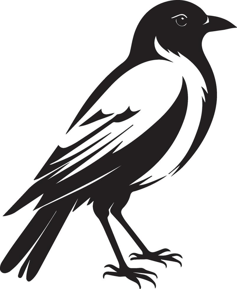 Bird black illustration vector