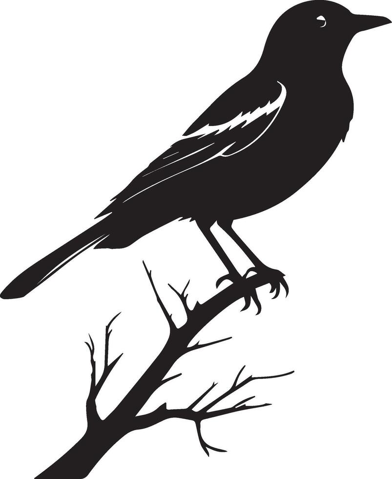 Bird black illustration vector