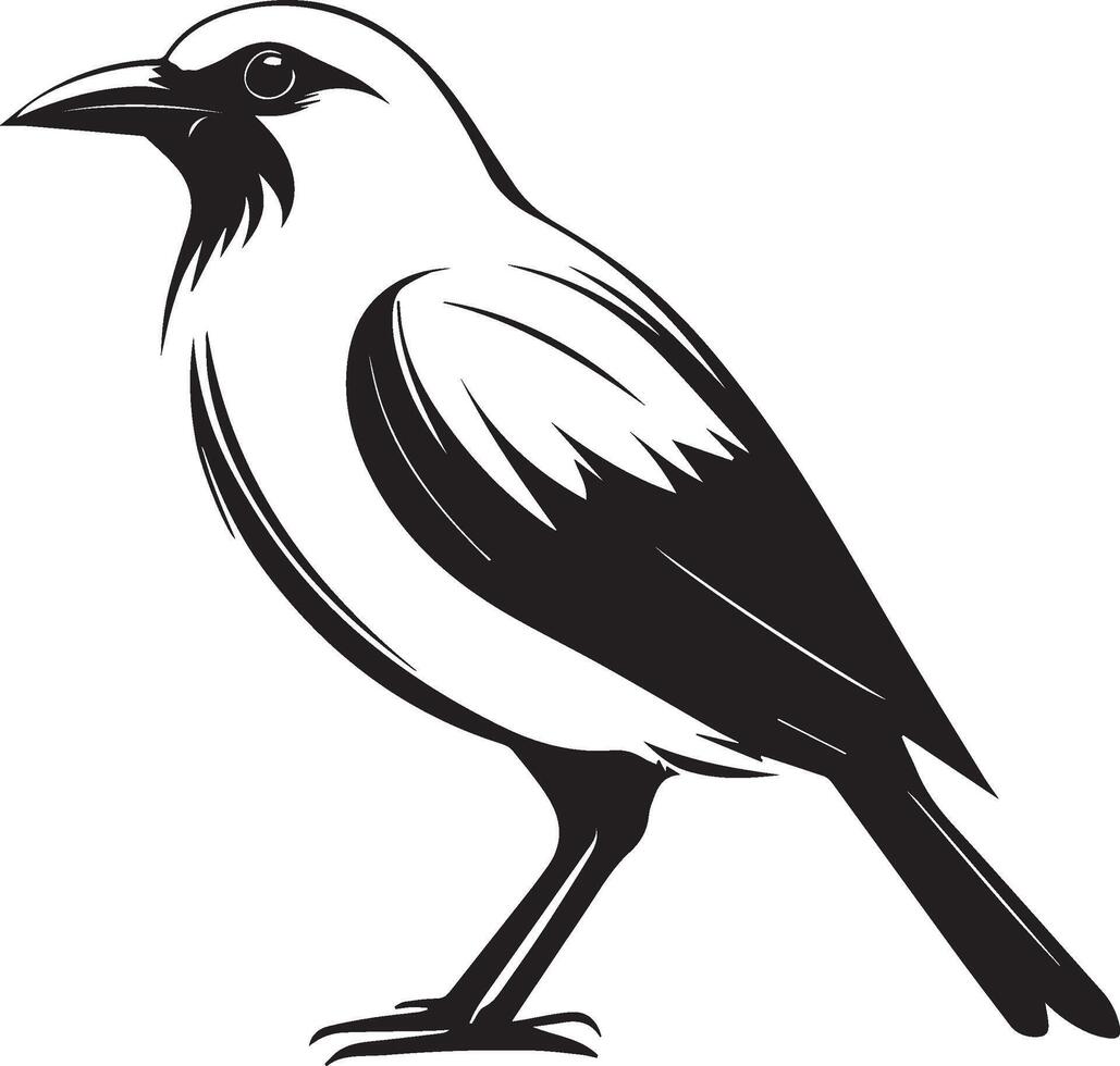 Bird black illustration vector