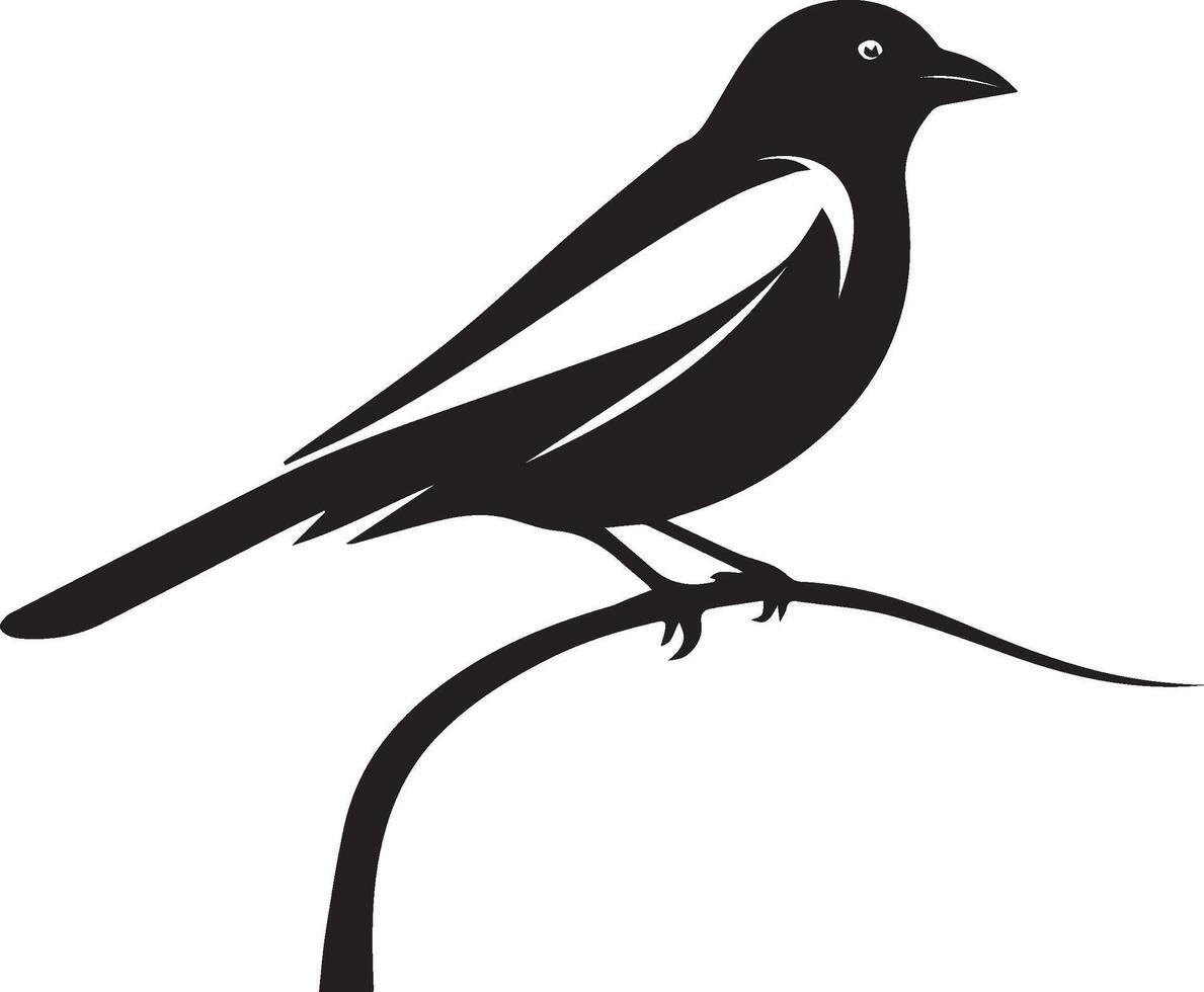 Bird black illustration vector