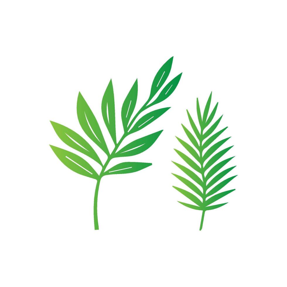 green leaf icon white background vector