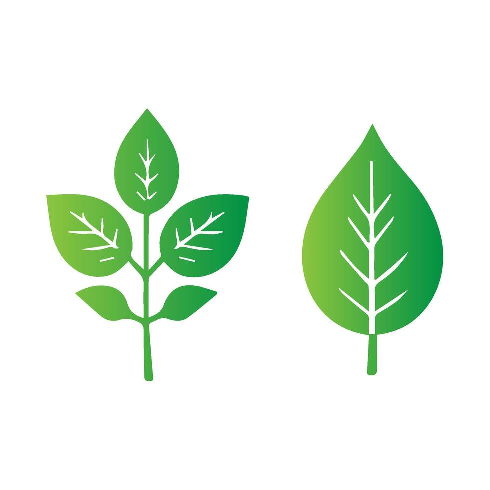 green leaf icon white background vector