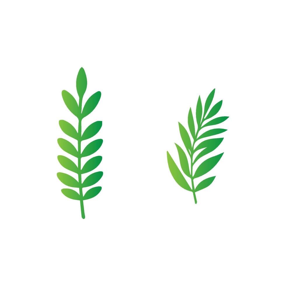 green leaf icon white background vector