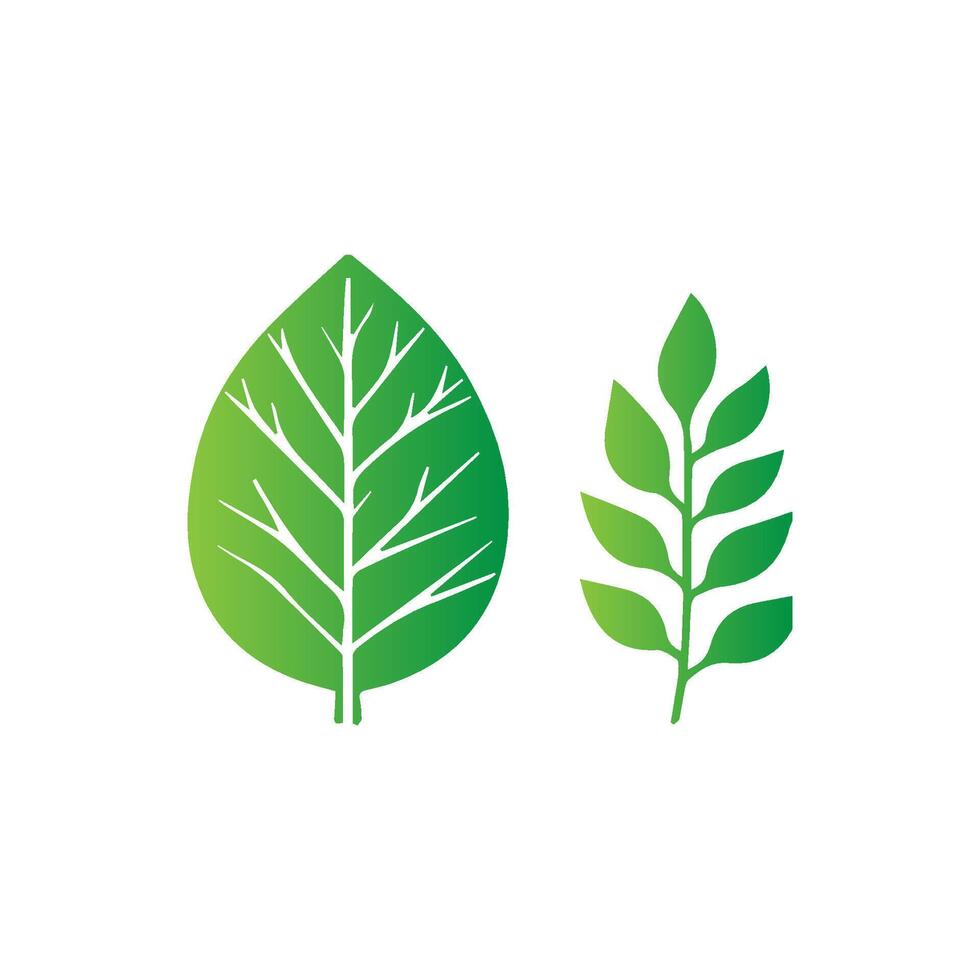 green leaf icon white background vector
