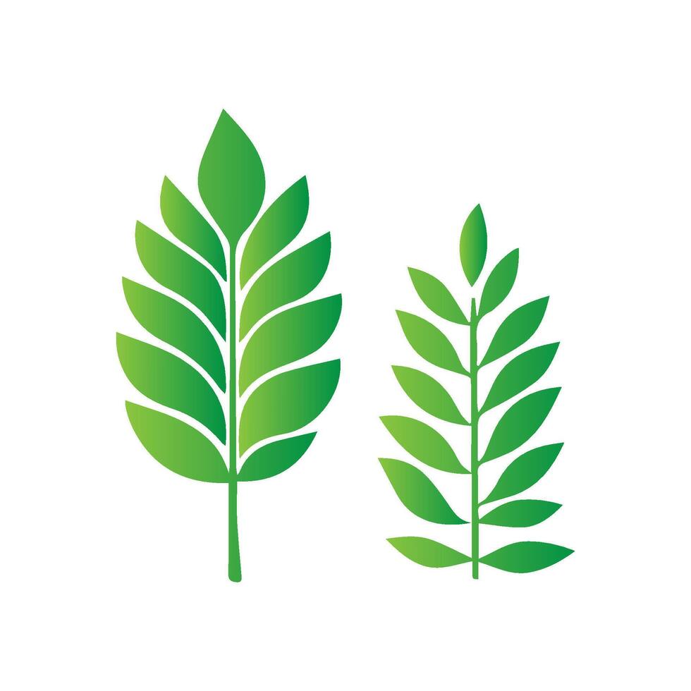 green leaf icon white background vector