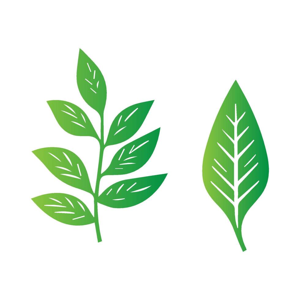 green leaf icon white background vector