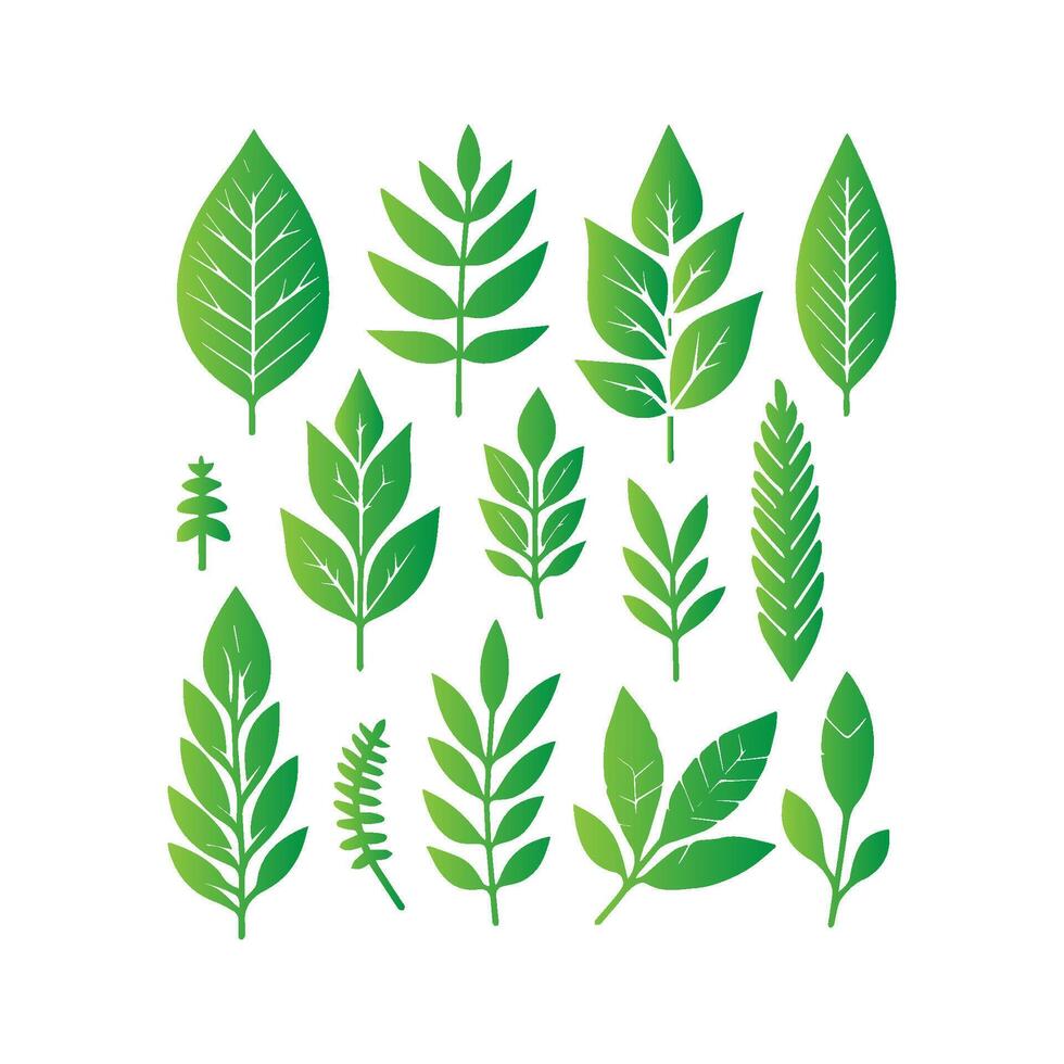 green leaf icon white background vector