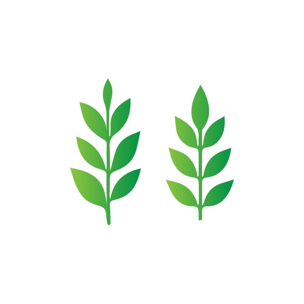 green leaf icon white background vector