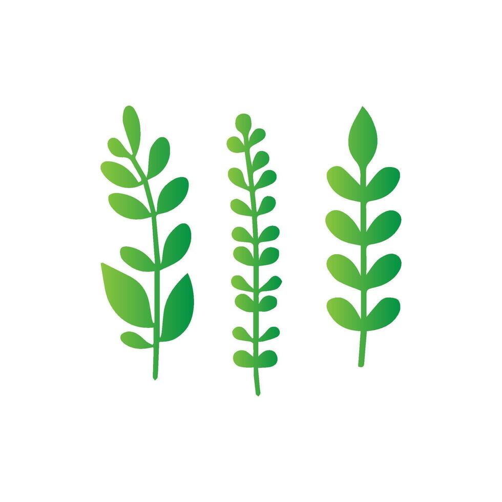 green leaf icon white background vector
