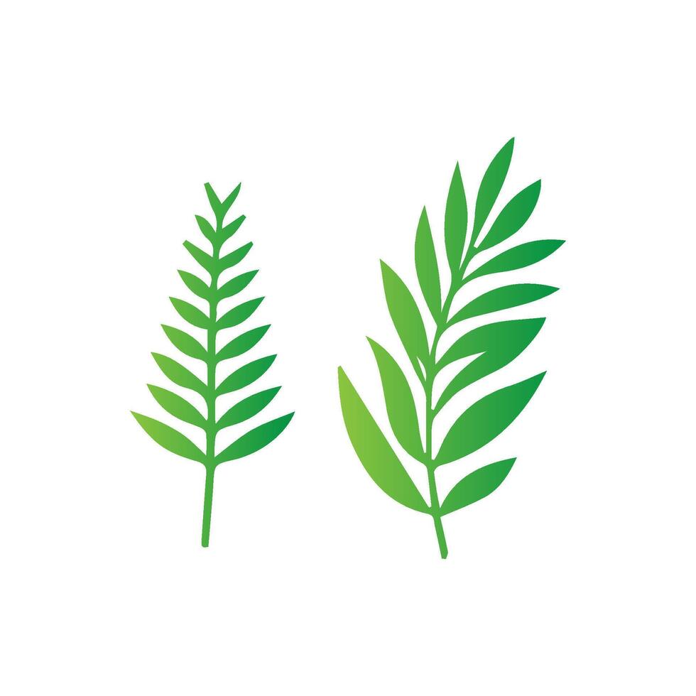 green leaf icon white background vector