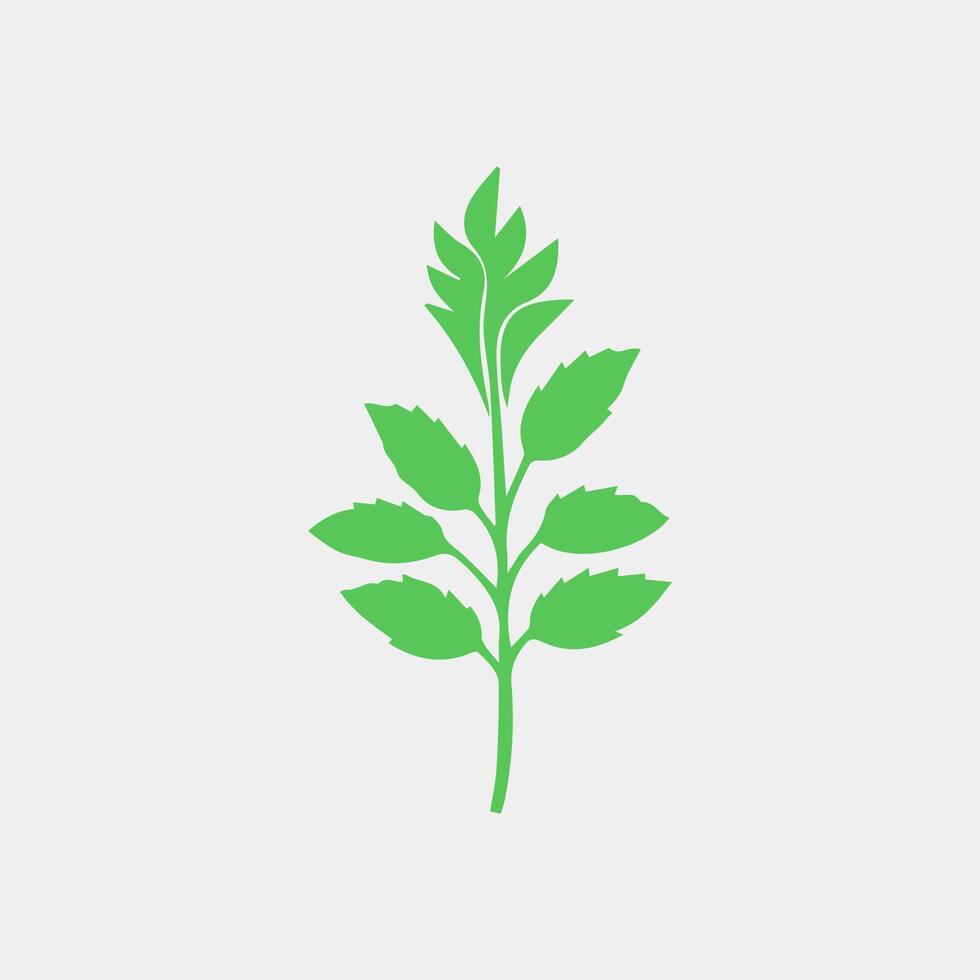 green leaf icon white background vector