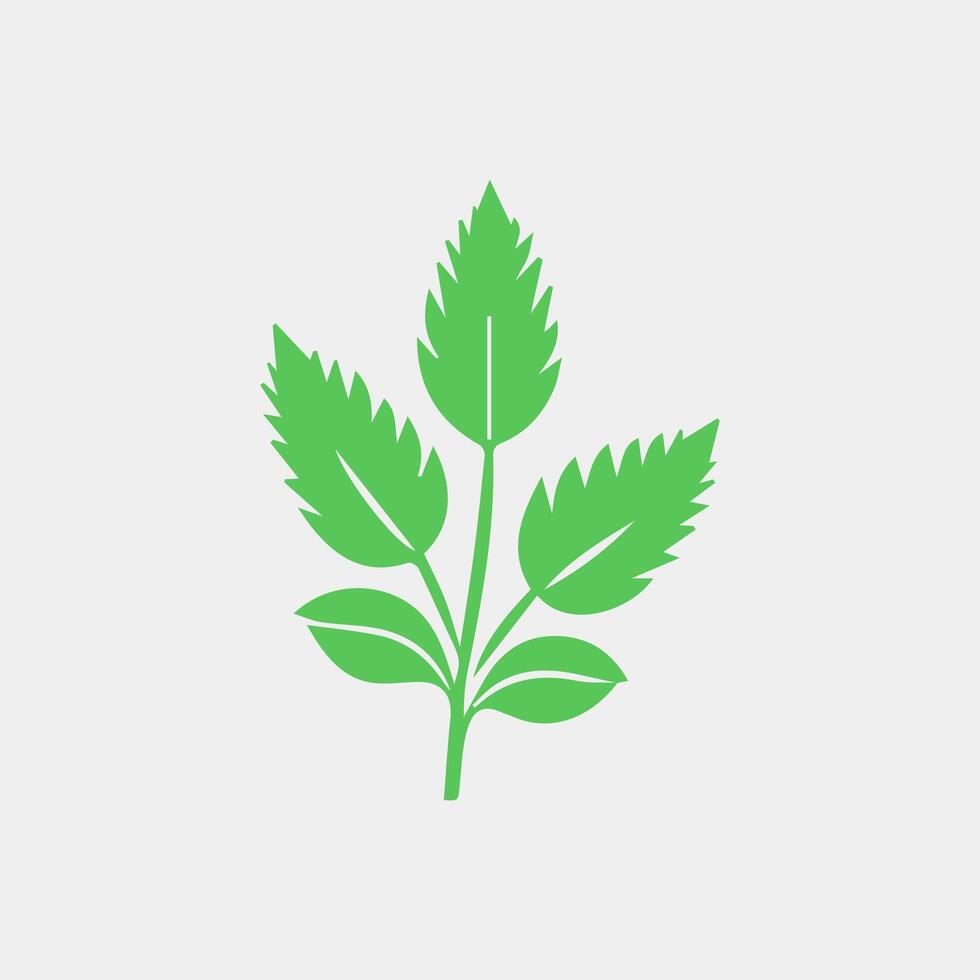 green leaf icon white background vector