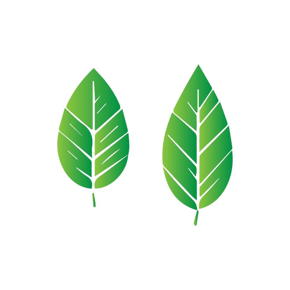 green leaf icon white background vector