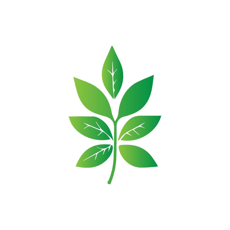green leaf icon white background vector