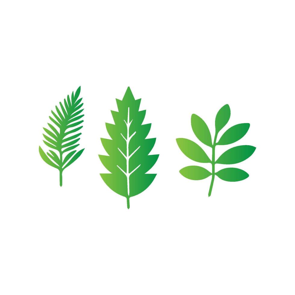 green leaf icon white background vector