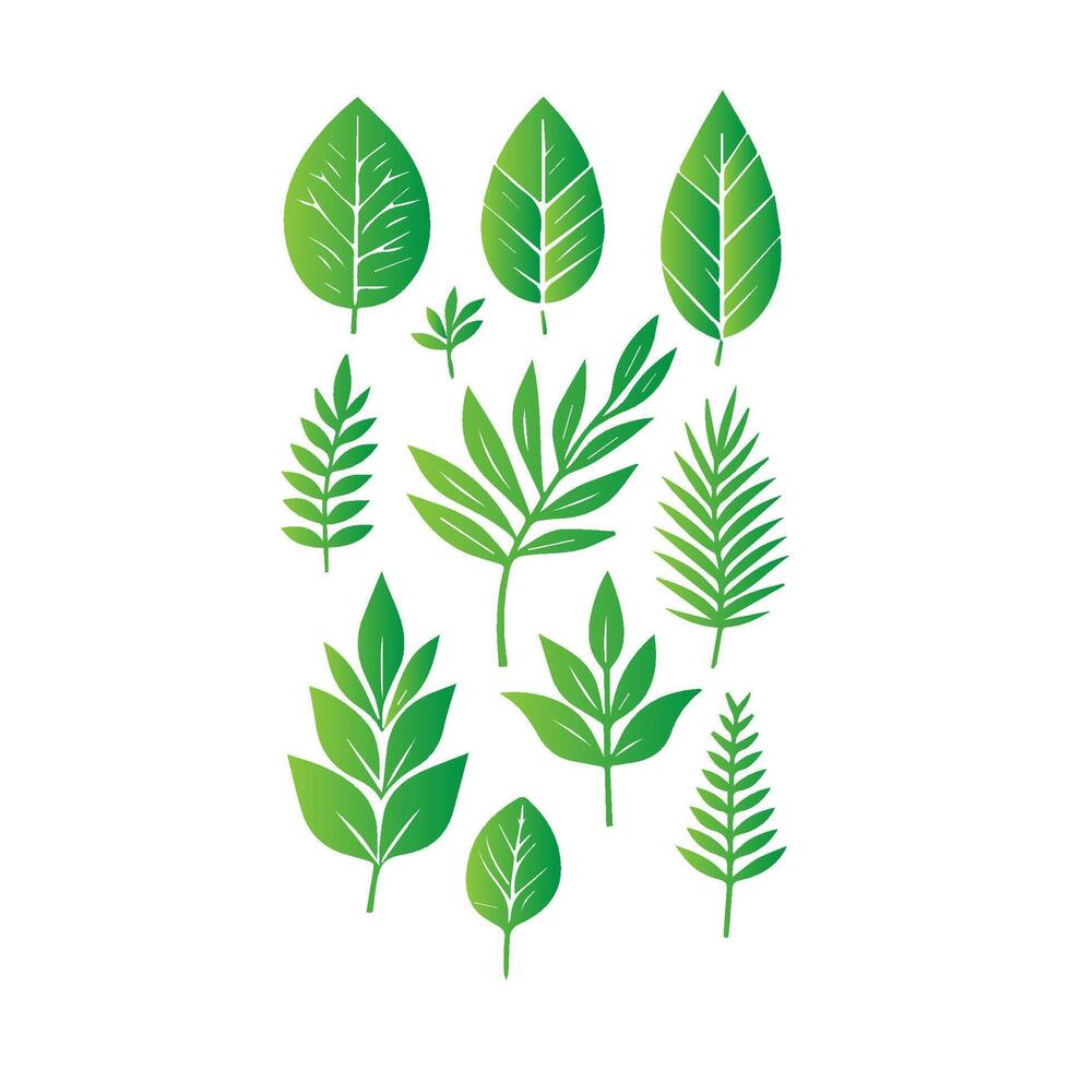 green leaf icon white background vector