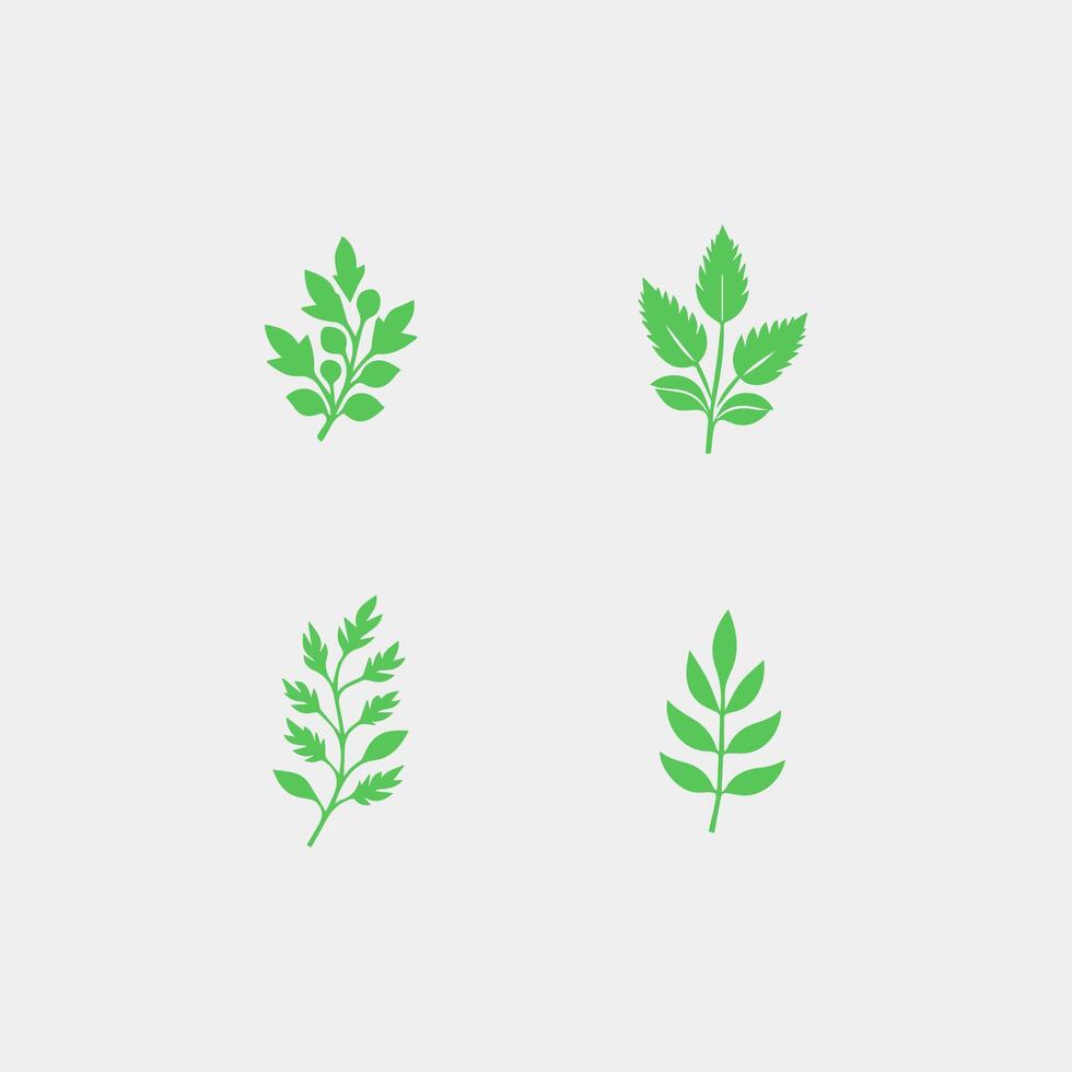 green leaf icon white background vector