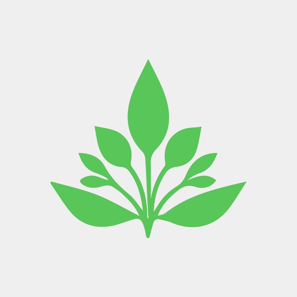 green leaf icon white background vector
