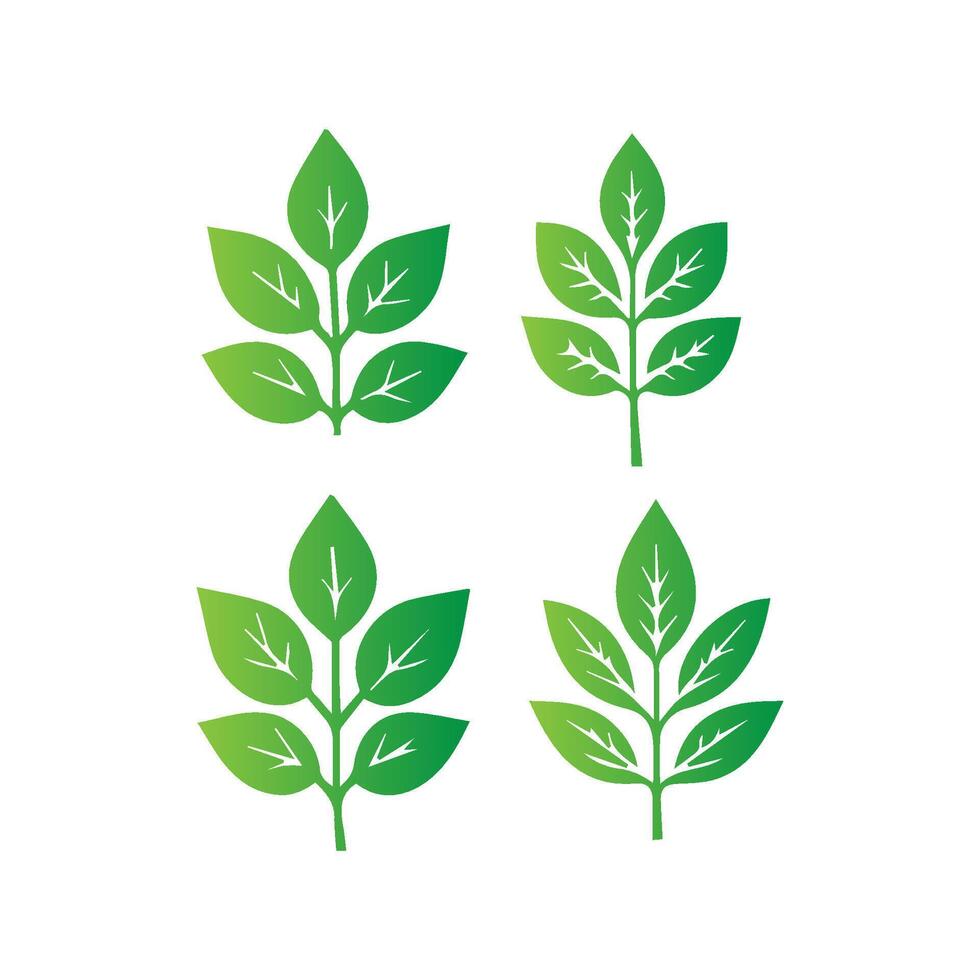 green leaf icon white background vector