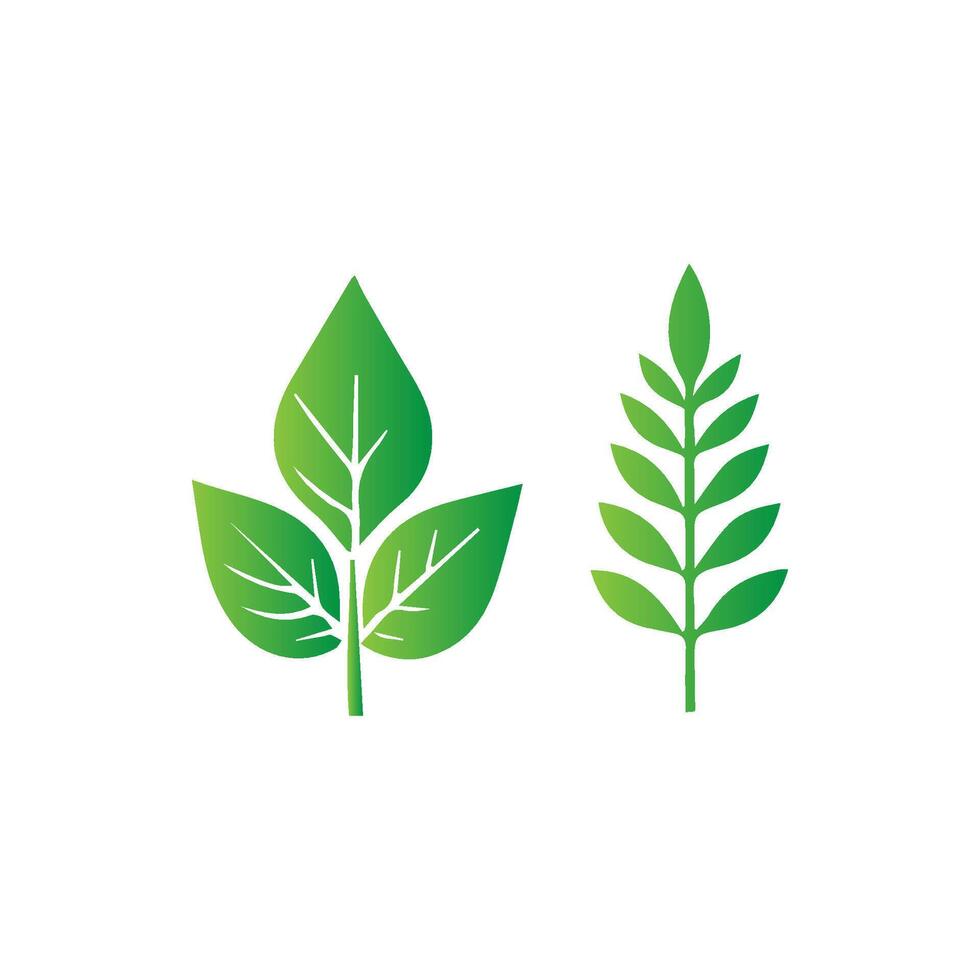 green leaf icon white background vector