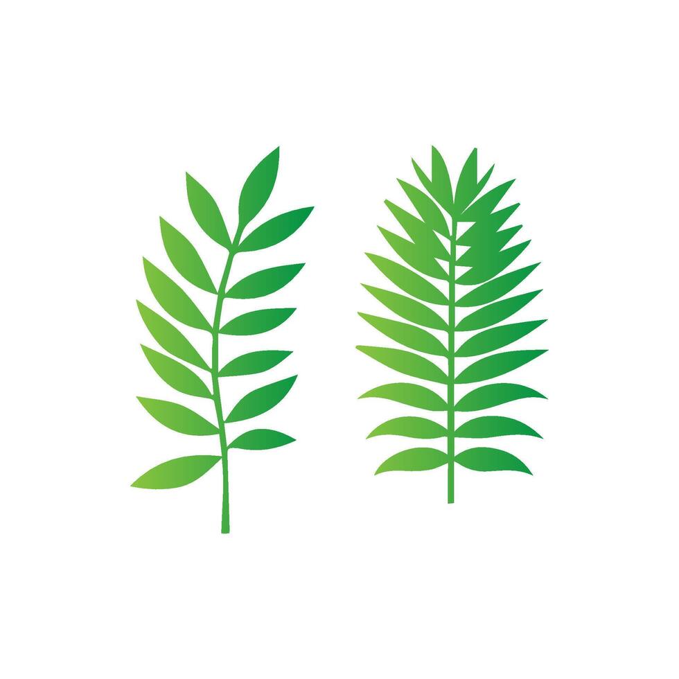 green leaf icon white background vector