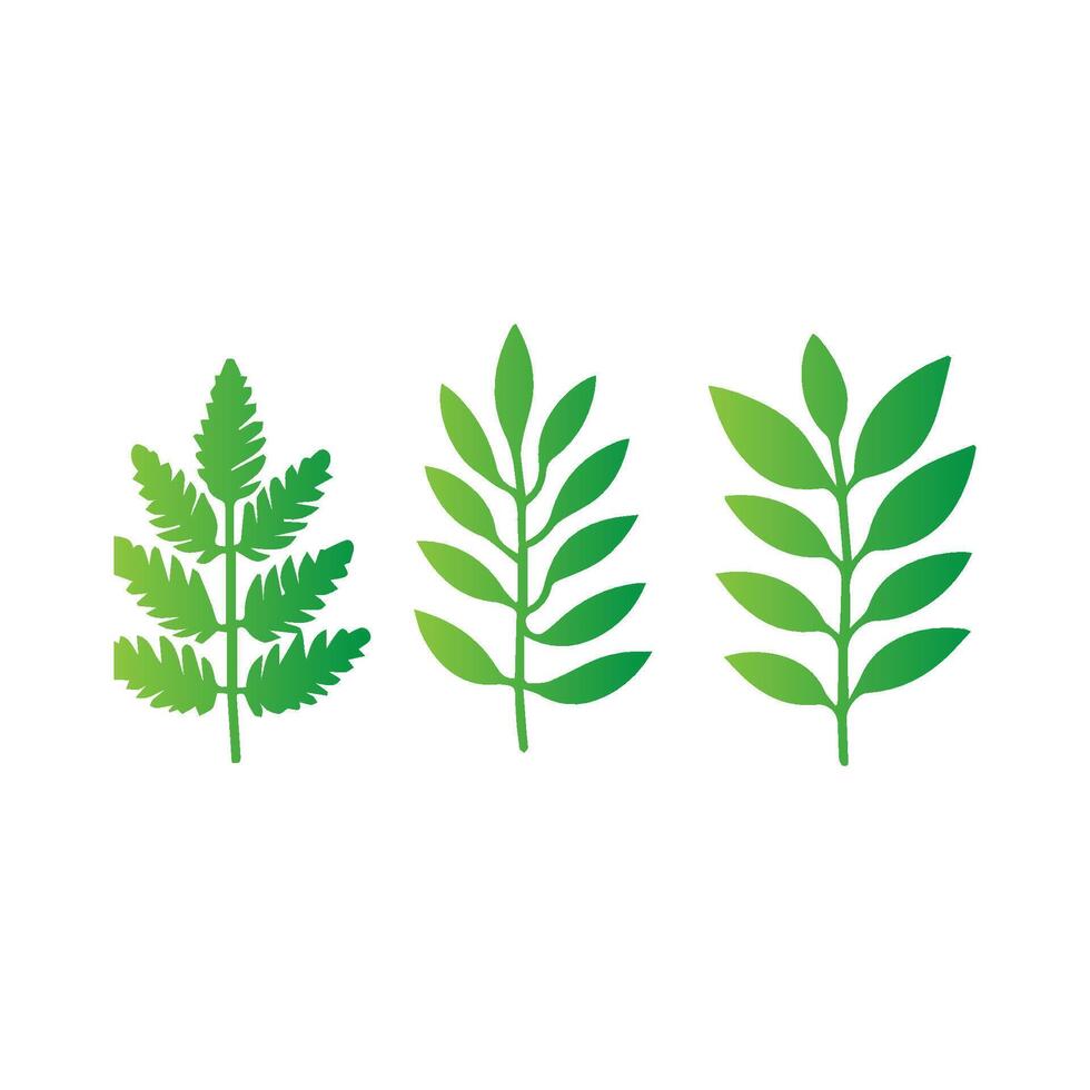 green leaf icon white background vector
