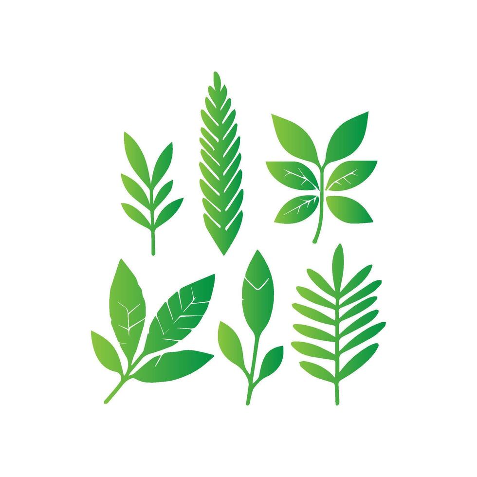 green leaf icon white background vector