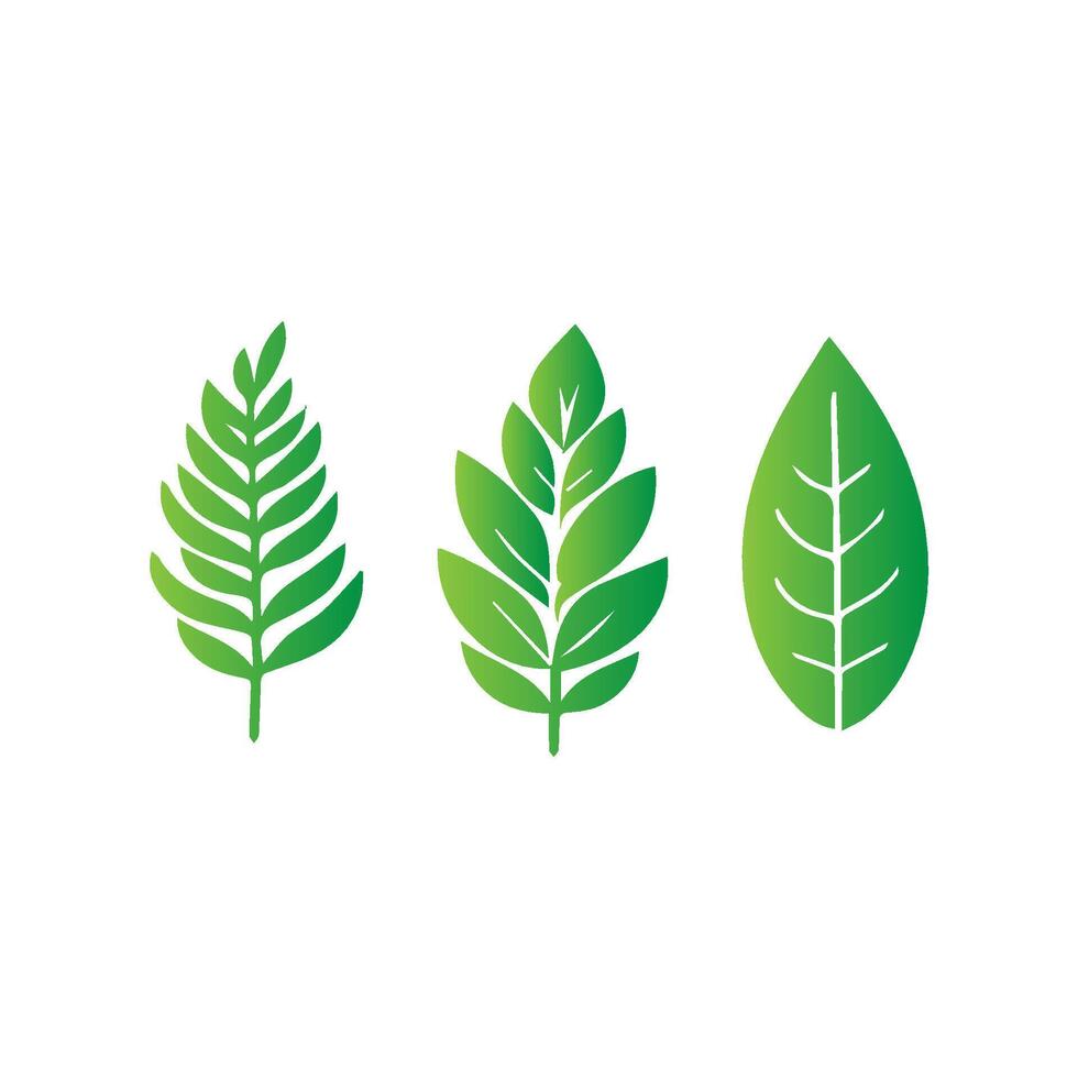 green leaf icon white background vector