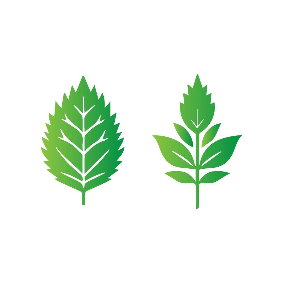green leaf icon white background vector