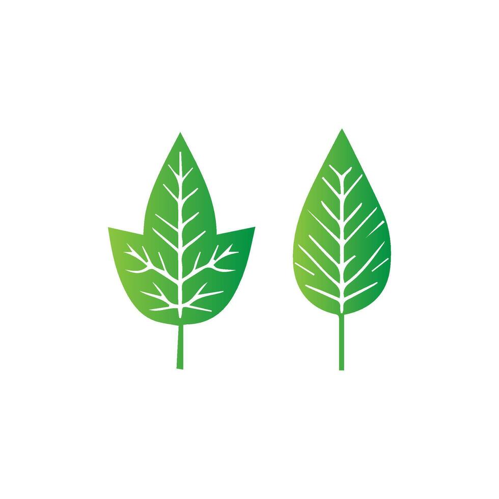 green leaf icon white background vector
