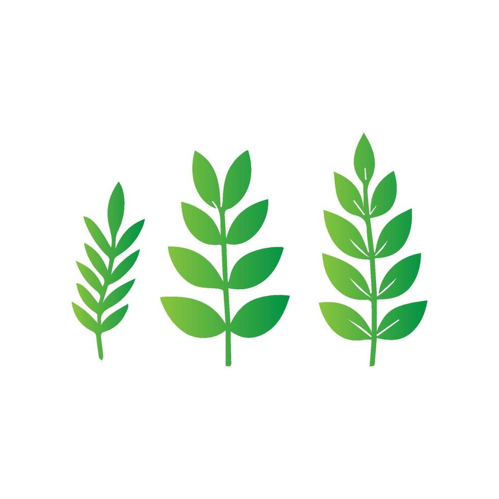 green leaf icon white background vector