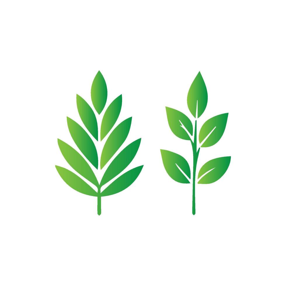 green leaf icon white background vector