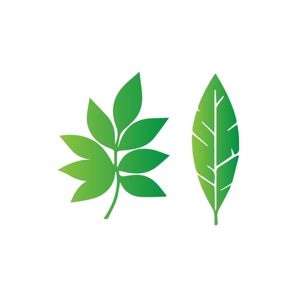 green leaf icon white background vector