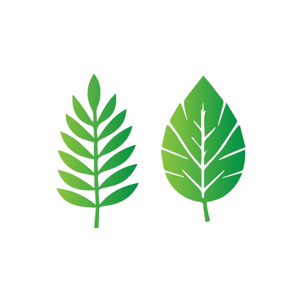 green leaf icon white background vector