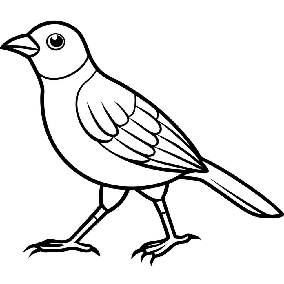 Eastern Phoebe bird play icon vector