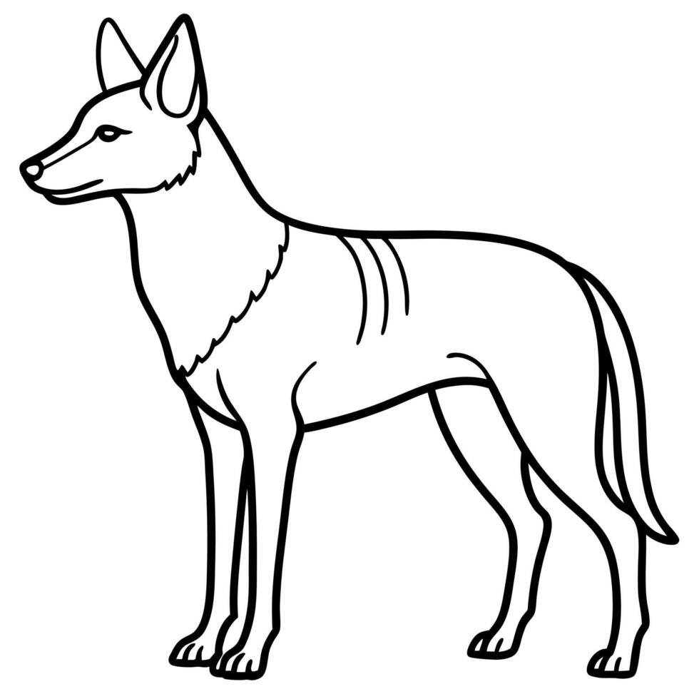 Eastern Wolf sleeps icon vector
