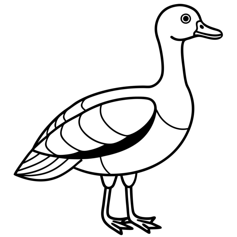 Egyptian Goose stands icon vector