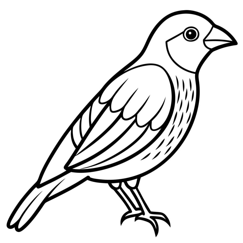 Egyptian Goose speaks icon vector