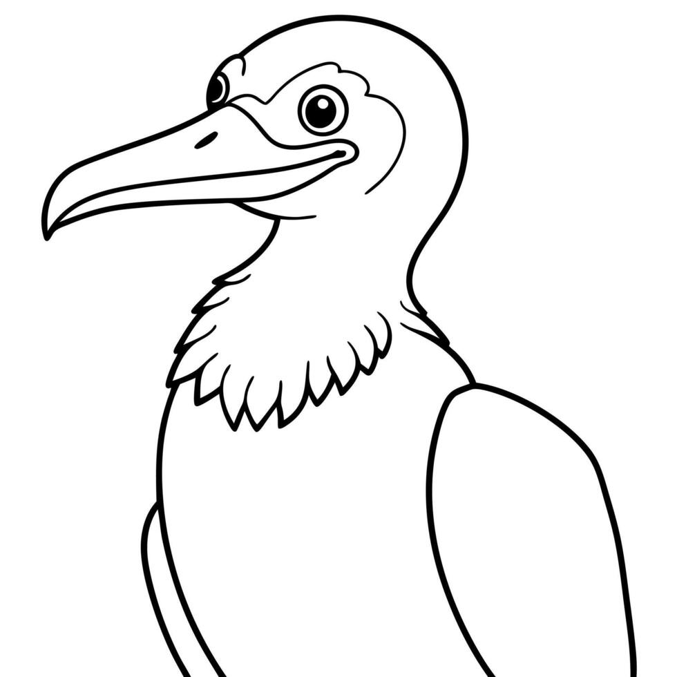 Eider bird play icon vector