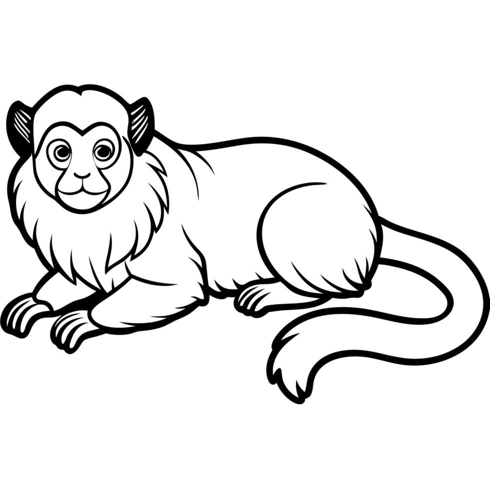 Emperor Tamarin monkey lies icon vector