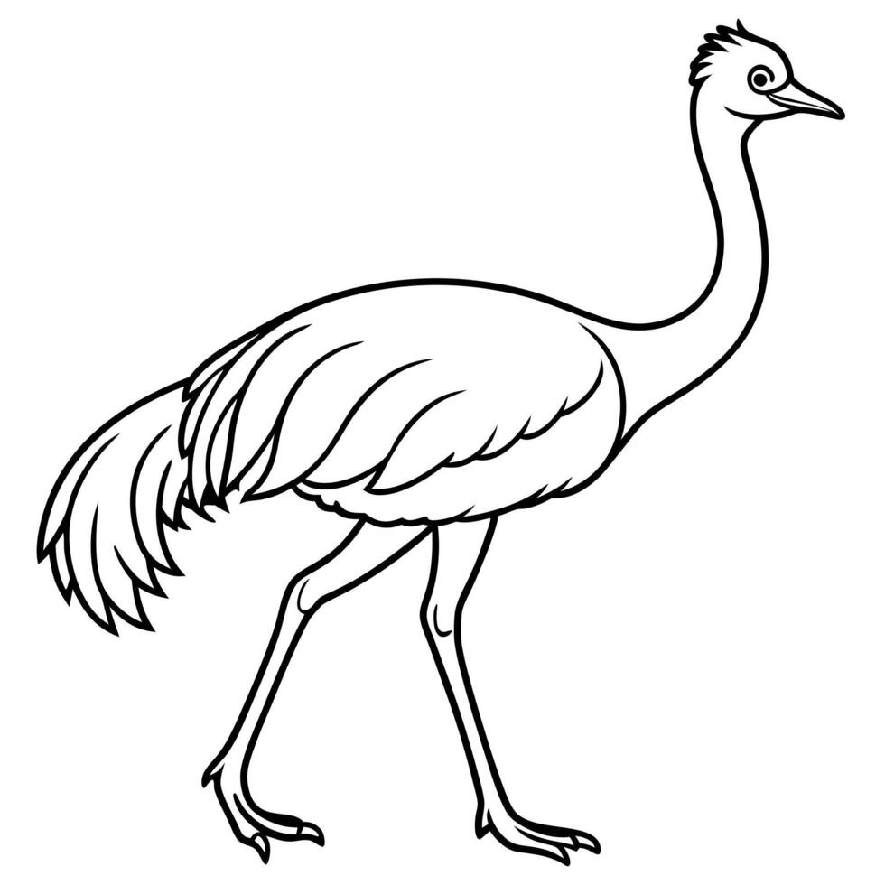 Emu bird walks icon vector